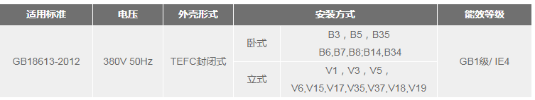 12YE4系列超超高效三相异步电动机2